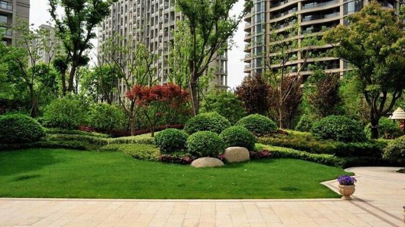 马拉松赛事报名怎么操作?从抽签规则到体检证明的完整思路